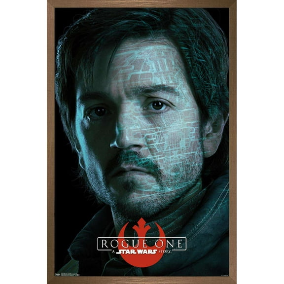 Star Wars: Rogue One - Cassian Wall Poster, 22.375" x 34", Framed