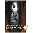 thumbnail image 1 of Star Wars: Saga - Han Solo - Shelter In Place Wall Poster, 14.725" x 22.375", 1 of 3