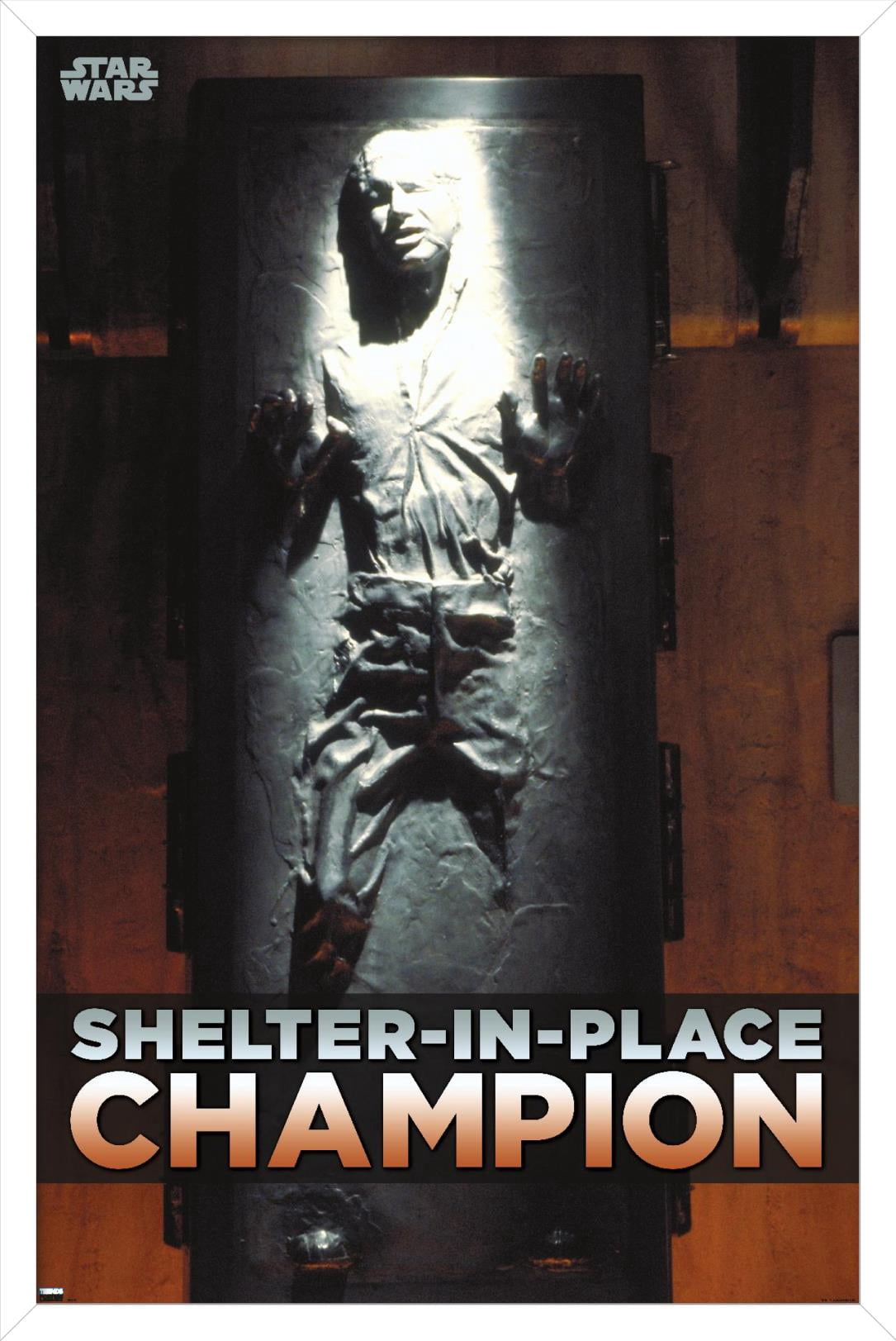 Star Wars: Saga - Han Solo - Shelter In Place Wall Poster, 22.375" x 34", Framed