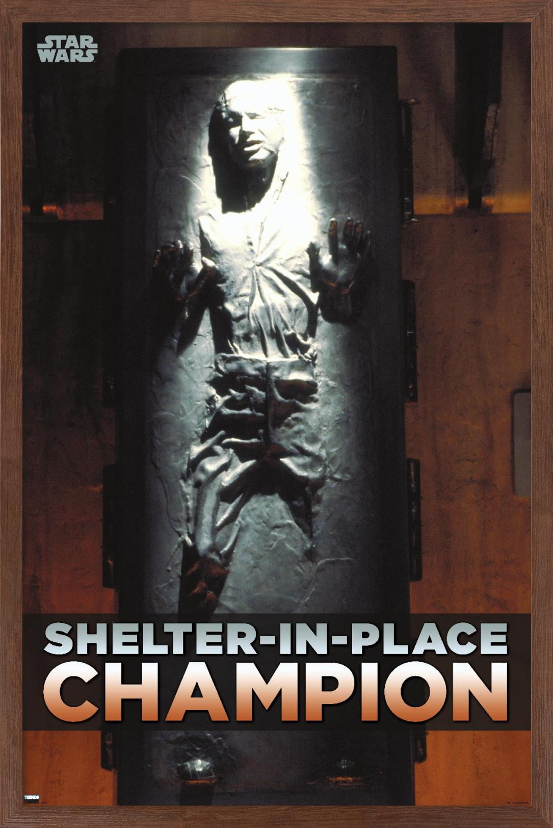 Star Wars: Saga - Han Solo - Shelter In Place Wall Poster, 22.375" x 34", Framed