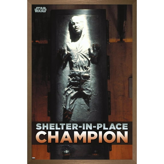 Star Wars: Saga - Han Solo - Shelter In Place Wall Poster, 22.375" x 34", Framed