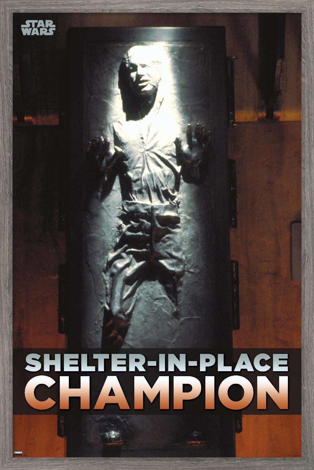 Star Wars: Saga - Han Solo - Shelter In Place Wall Poster, 22.375" x 34", Framed