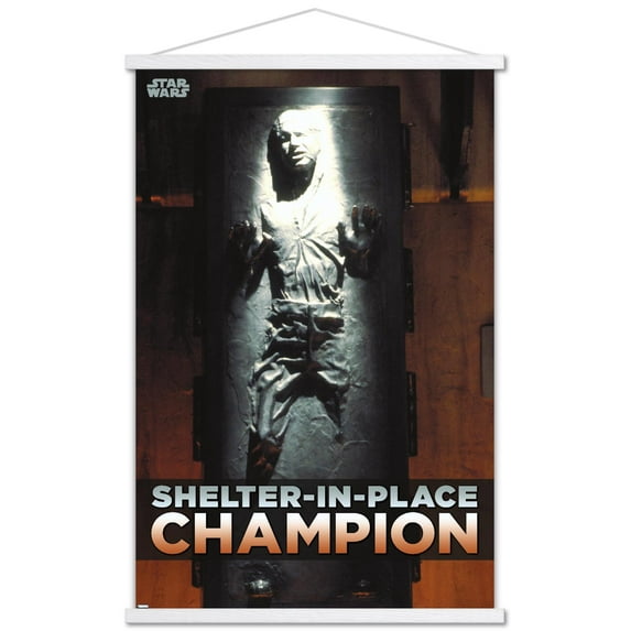 Star Wars: Saga - Han Solo - Shelter In Place Wall Poster with Wooden Magnetic Frame, 22.375" x 34"