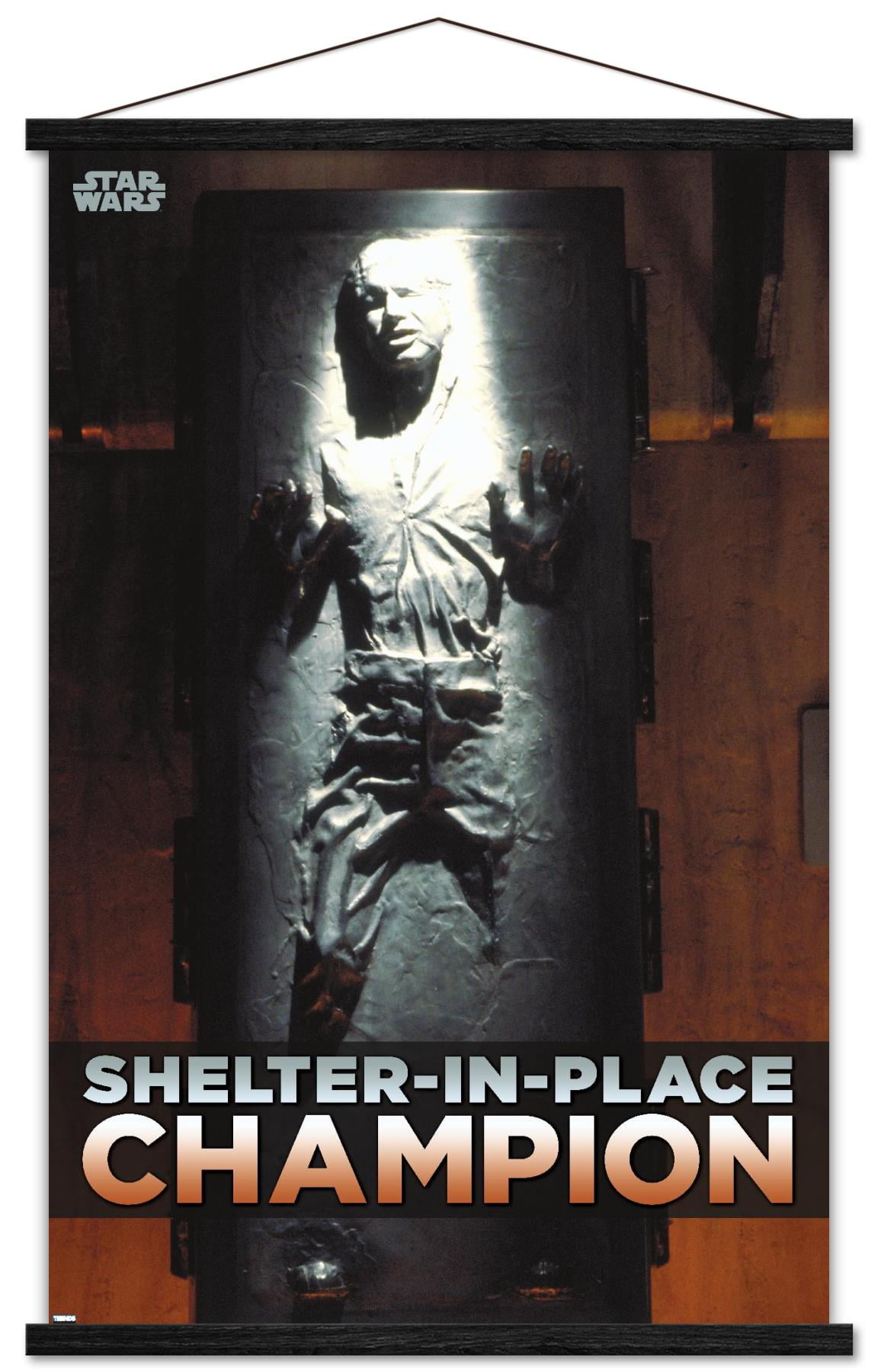 Star Wars: Saga - Han Solo - Shelter In Place Wall Poster with Wooden Magnetic Frame, 22.375" x 34"