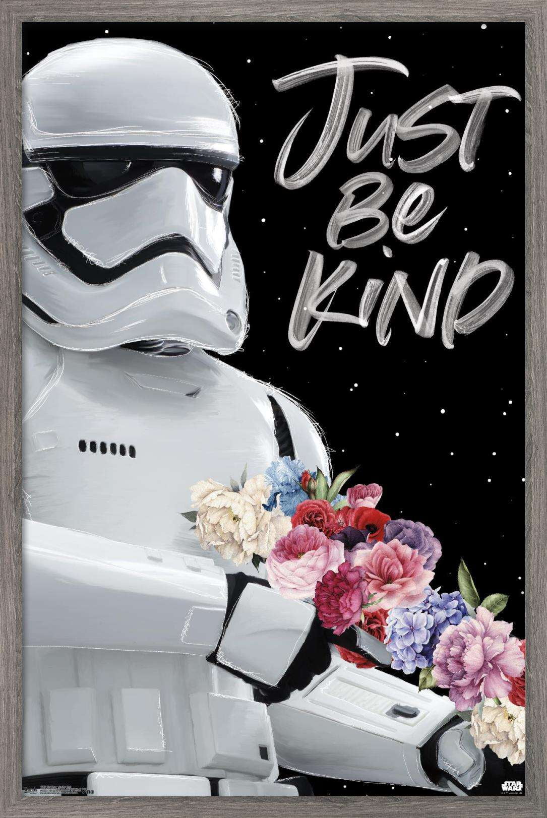 Star Wars: Saga - Just Be Kind Wall Poster, 14.725" x 22.375", Framed