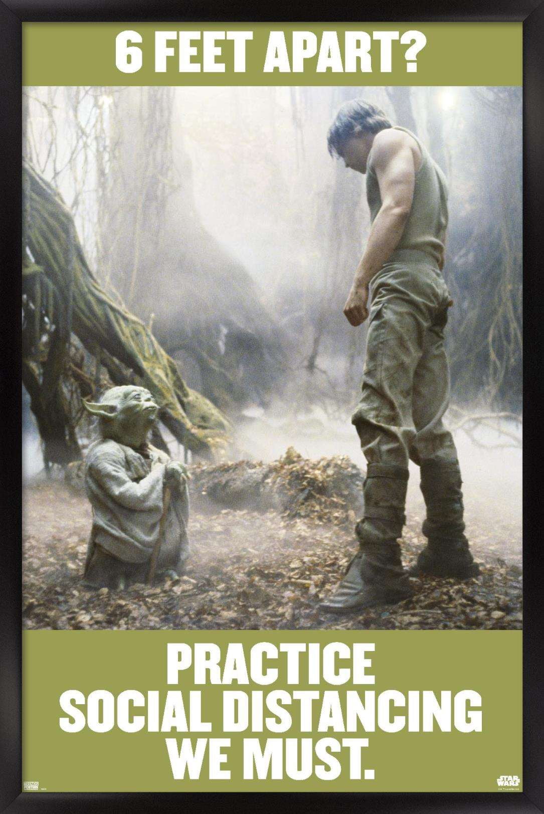 Star Wars: Saga - Luke and Yoda Social Distancing Wall Poster, 14.725" x 22.375", Framed