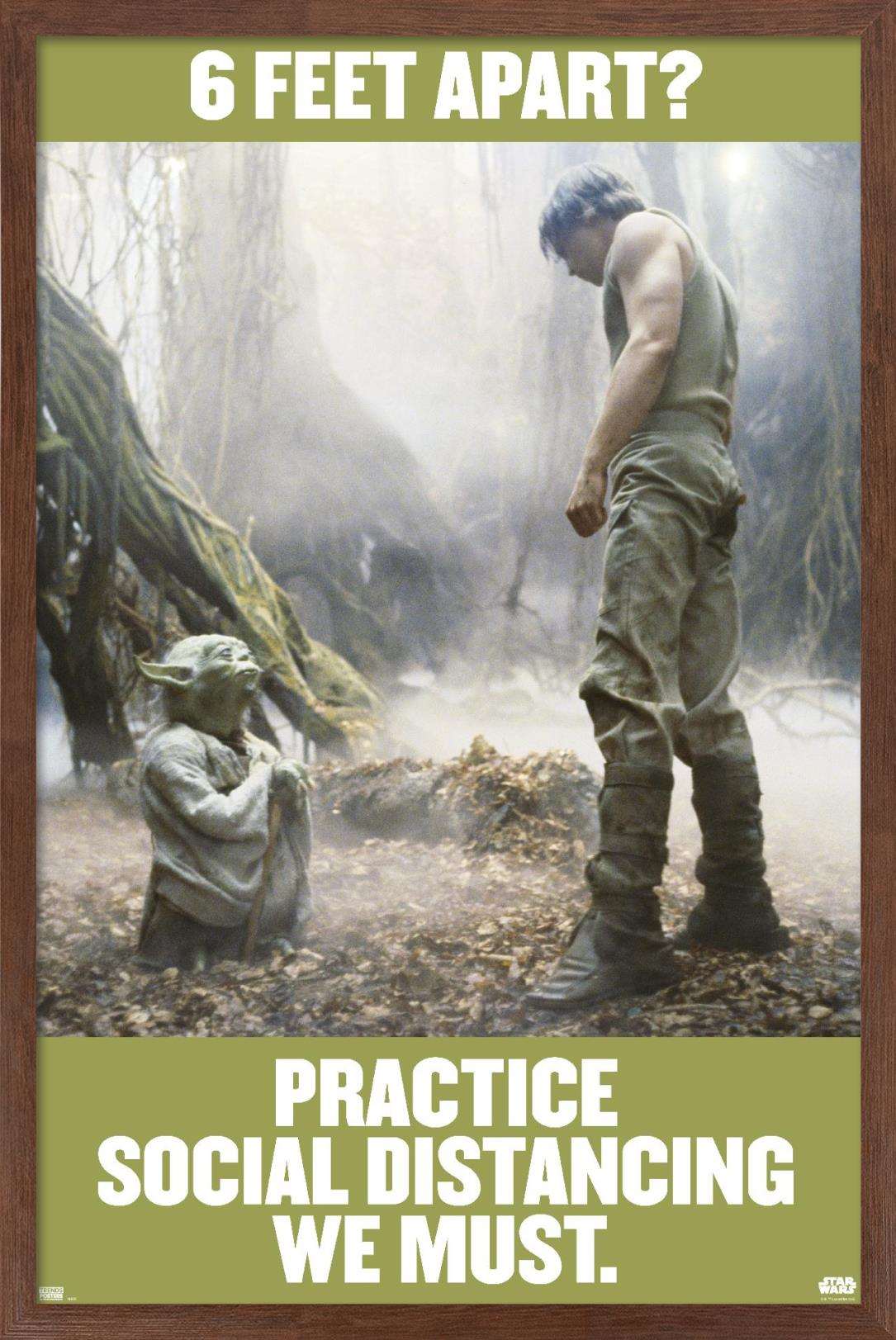 Star Wars: Saga - Luke and Yoda Social Distancing Wall Poster, 14.725" x 22.375", Framed