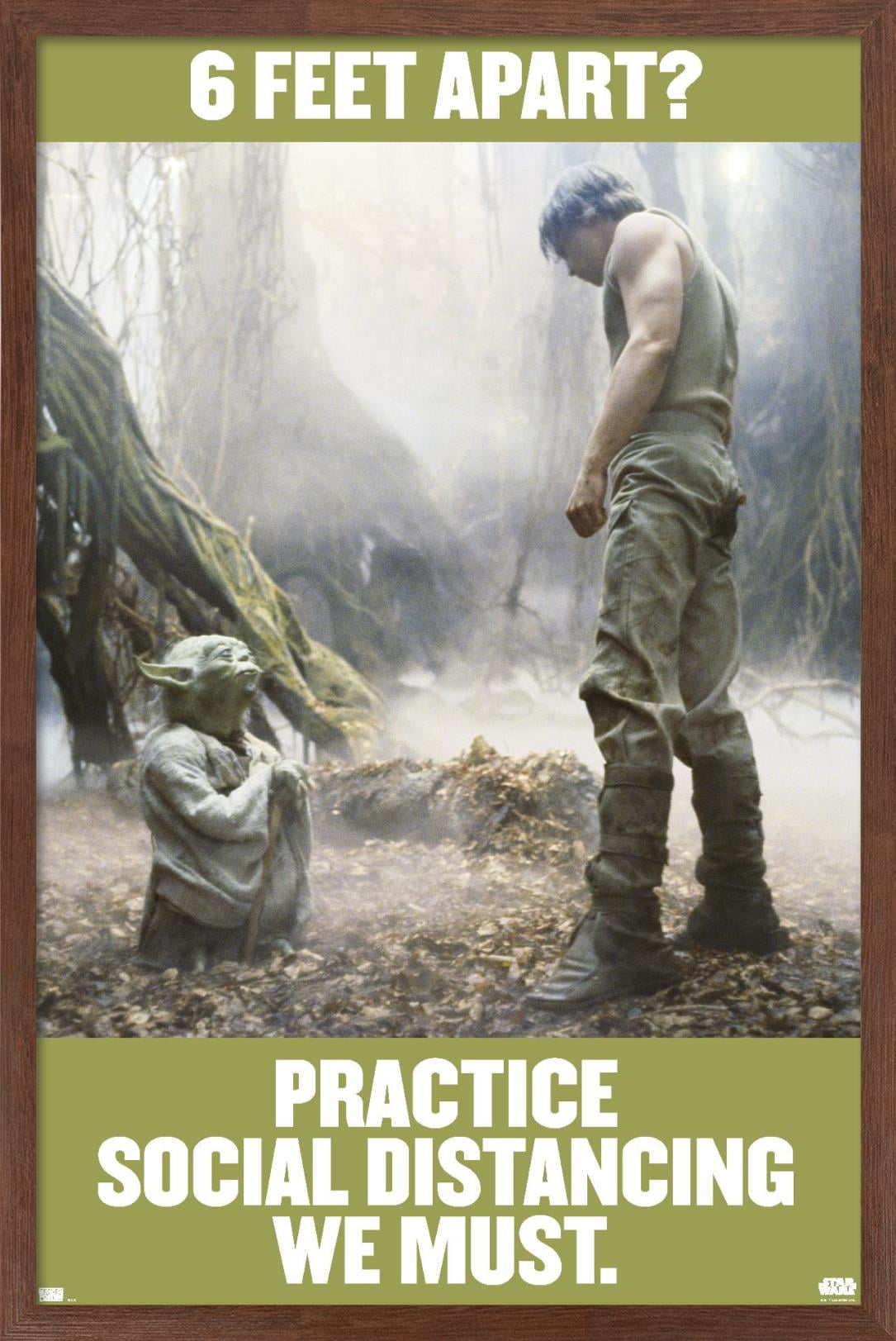 Star Wars: Saga - Luke and Yoda Social Distancing Wall Poster, 22.375" x 34", Framed