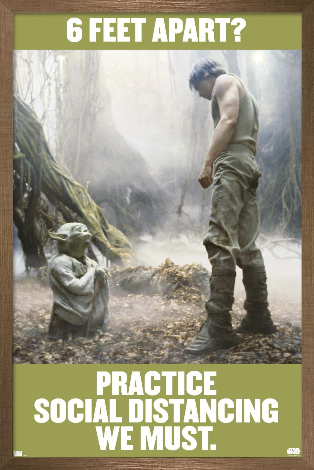 Star Wars: Saga - Luke and Yoda Social Distancing Wall Poster, 22.375" x 34", Framed