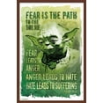 thumbnail image 1 of Star Wars: Saga - Path To The Dark Side Wall Poster, 22.375" x 34", Framed, 1 of 2