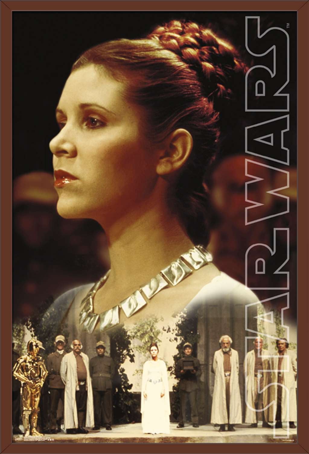 Star Wars Princess Leia Ceremony Mahogany Framed Wall Poster