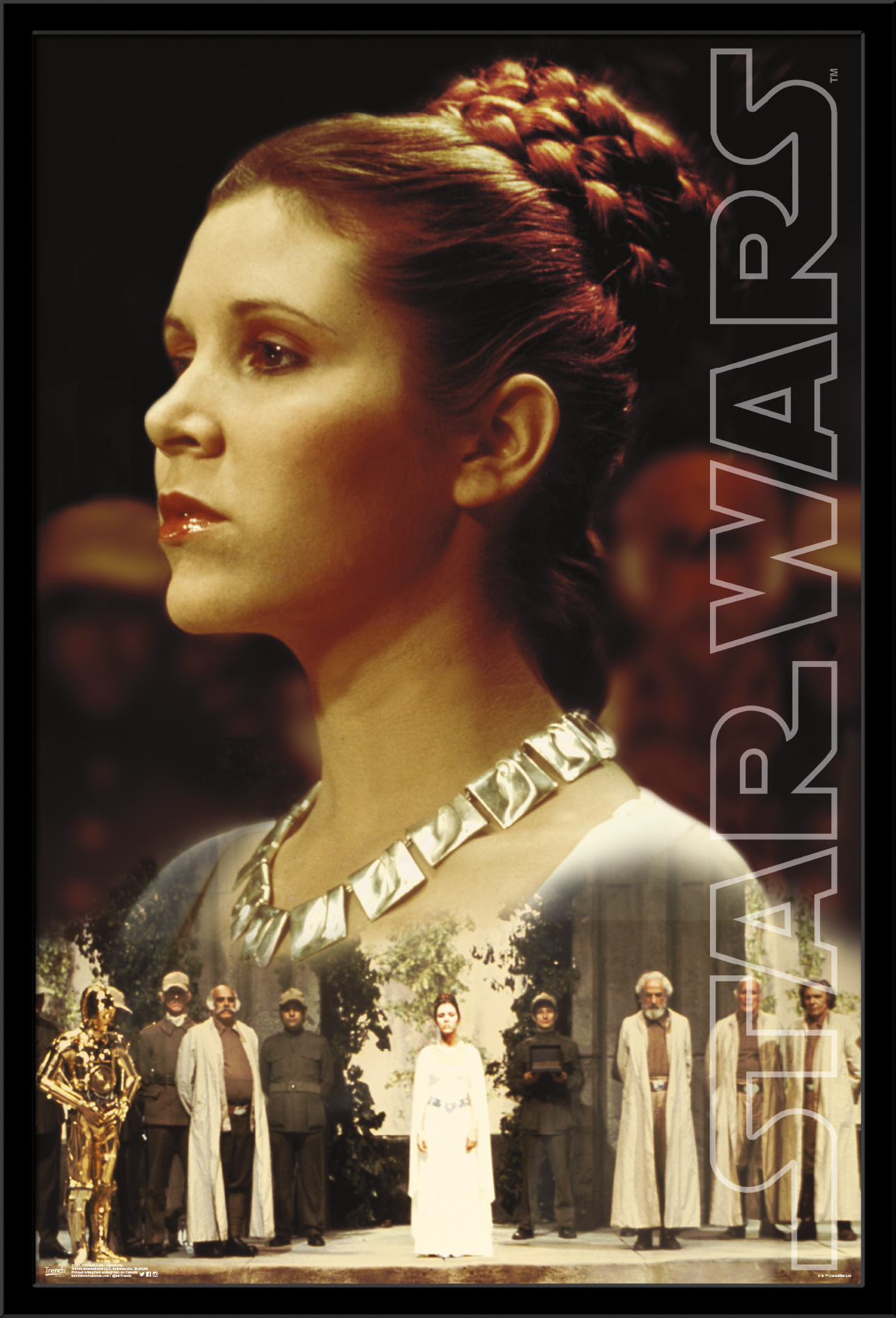 Star Wars: Saga - Princess Leia - Ceremony Wall Poster, 22.375" x 34", Framed