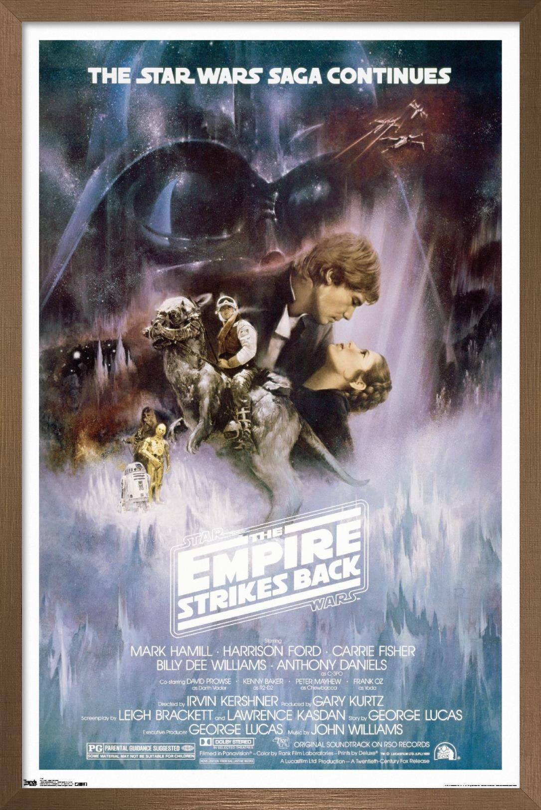 Star Wars: The Empire Strikes Back - The Saga Continues One Sheet Wall Poster, 22.375" x 34", Framed