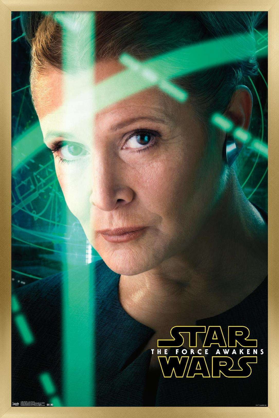Star Wars: The Force Awakens - Leia Portrait Wall Poster, 22.375" x 34", Framed