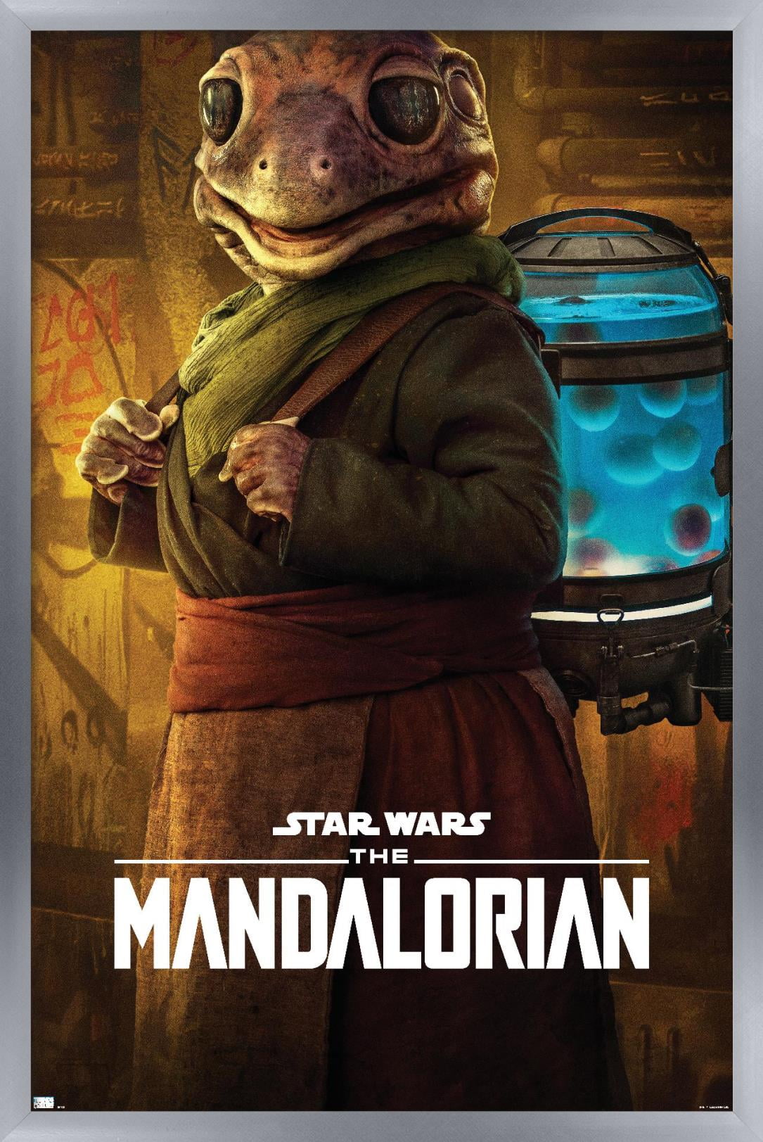 Star Wars: The Mandalorian Season 2 - Frog Lady Wall Poster, 14.725" x 22.375", Framed