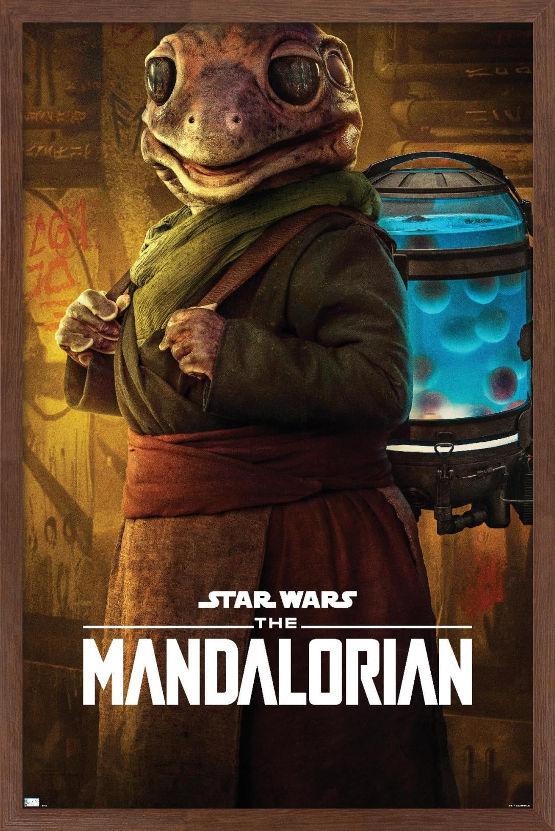Star Wars: The Mandalorian Season 2 - Frog Lady Wall Poster, 14.725" x 22.375", Framed