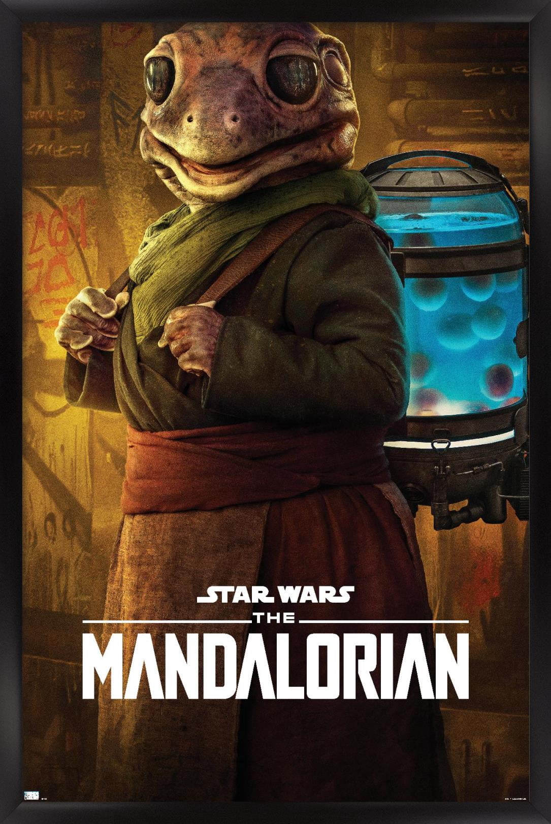 Star Wars: The Mandalorian Season 2 - Frog Lady Wall Poster, 22.375" x 34", Framed