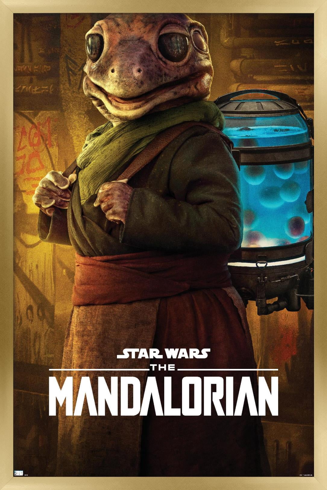 Star Wars: The Mandalorian Season 2 - Frog Lady Wall Poster, 22.375" x 34", Framed