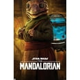thumbnail image 1 of Star Wars: The Mandalorian Season 2 - Frog Lady Wall Poster, 22.375" x 34", 1 of 3