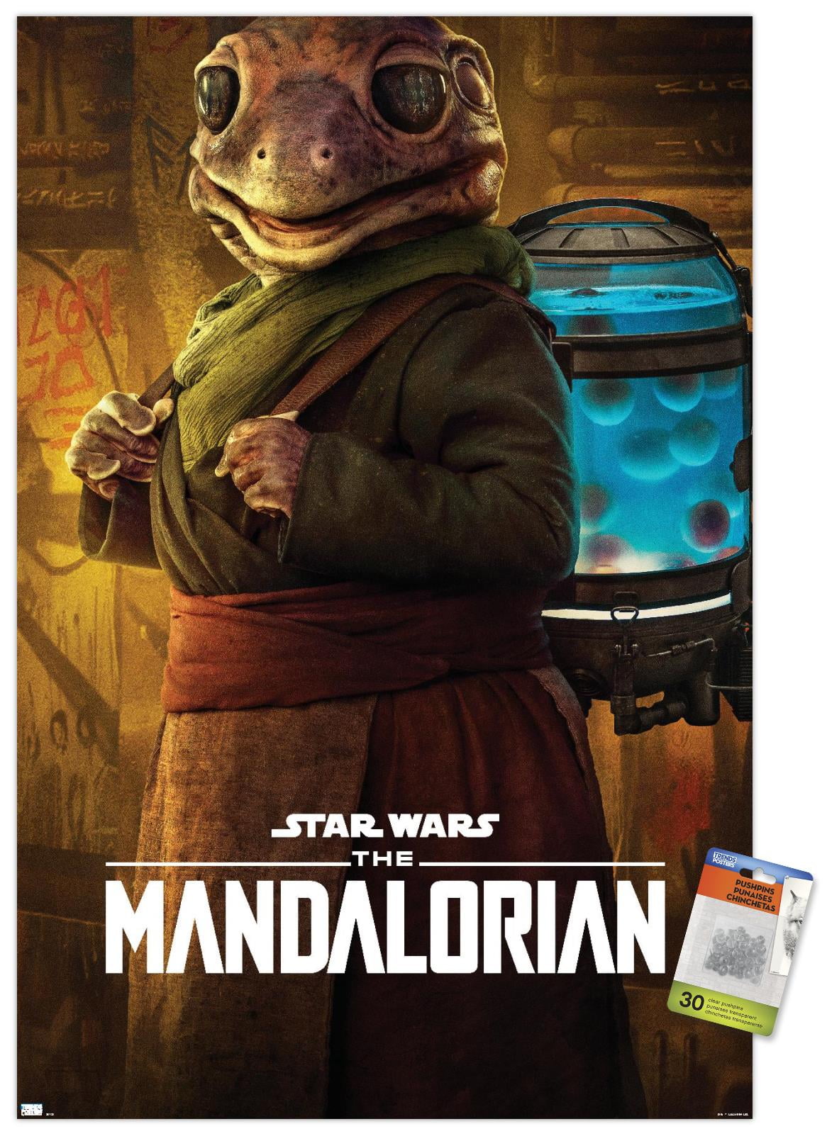 Star Wars: The Mandalorian Season 2 - Frog Lady Wall Poster with Pushpins, 22.375" x 34"