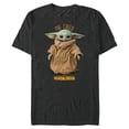 thumbnail image 1 of Star Wars The Mandalorian The Child Cute - Short Sleeve Blended T-Shirt for Adults - Customized-Dark Heather, 1 of 5