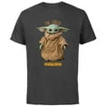 thumbnail image 1 of Star Wars The Mandalorian The Child Cute - Short Sleeve Cotton T-Shirt for Adults - Customized-Charcoal, 1 of 5