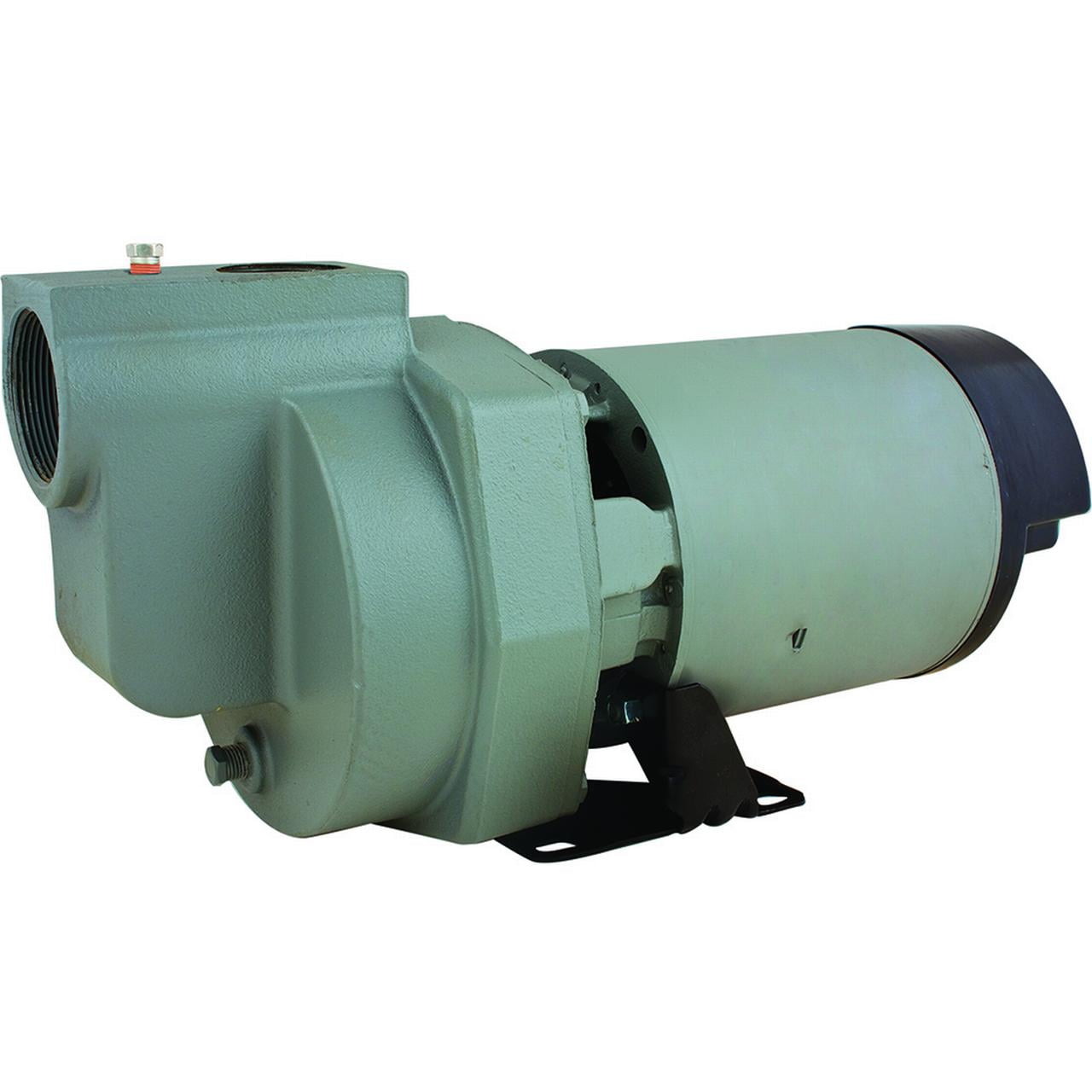 Star Water Systems 1 HP 3780 gph Cast Iron Sprinkler Pump