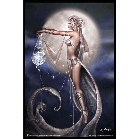 Star Weaver by Renee Biertempfel Laminated Poster 24.5 x 36.5 inches