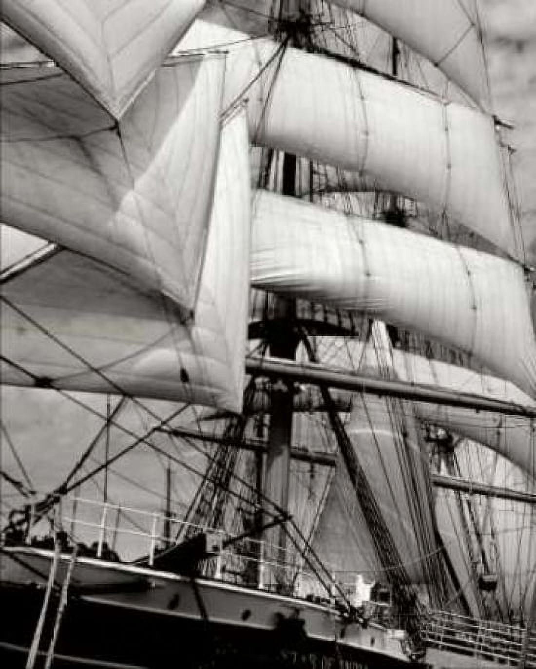 Star of India II Canvas Art - George Johnson (24 x 30)