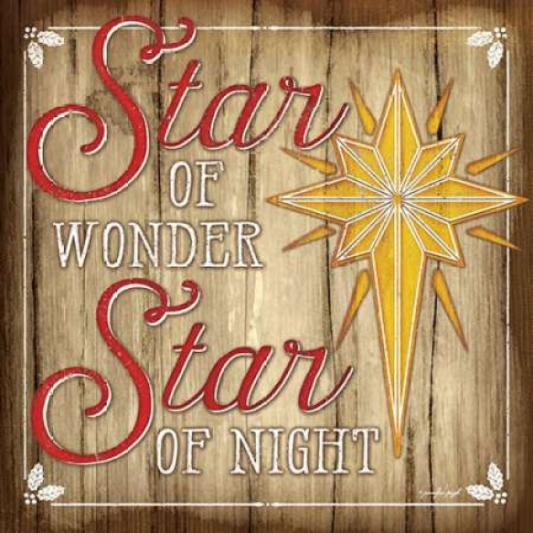 Star of Wonder Canvas Art - Jennifer Pugh (24 x 24)