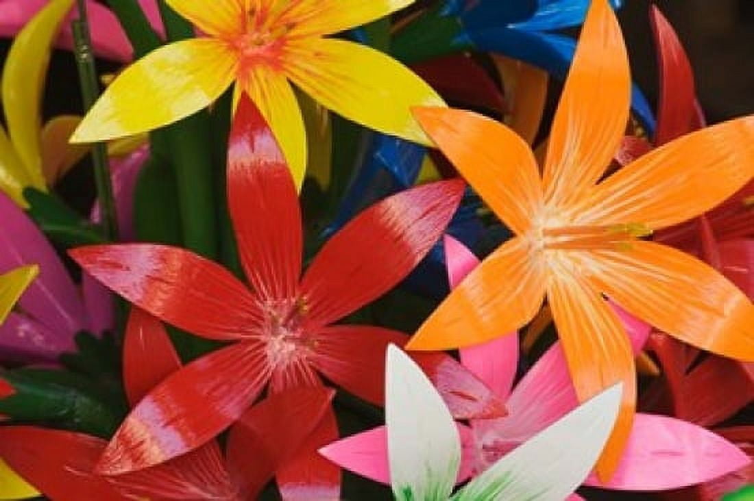 Star shaped carved wooden flowers at market Bo Sang Chiang Mai Thailand Canvas Art - Adam Jones DanitaDelimont (22 x 15)