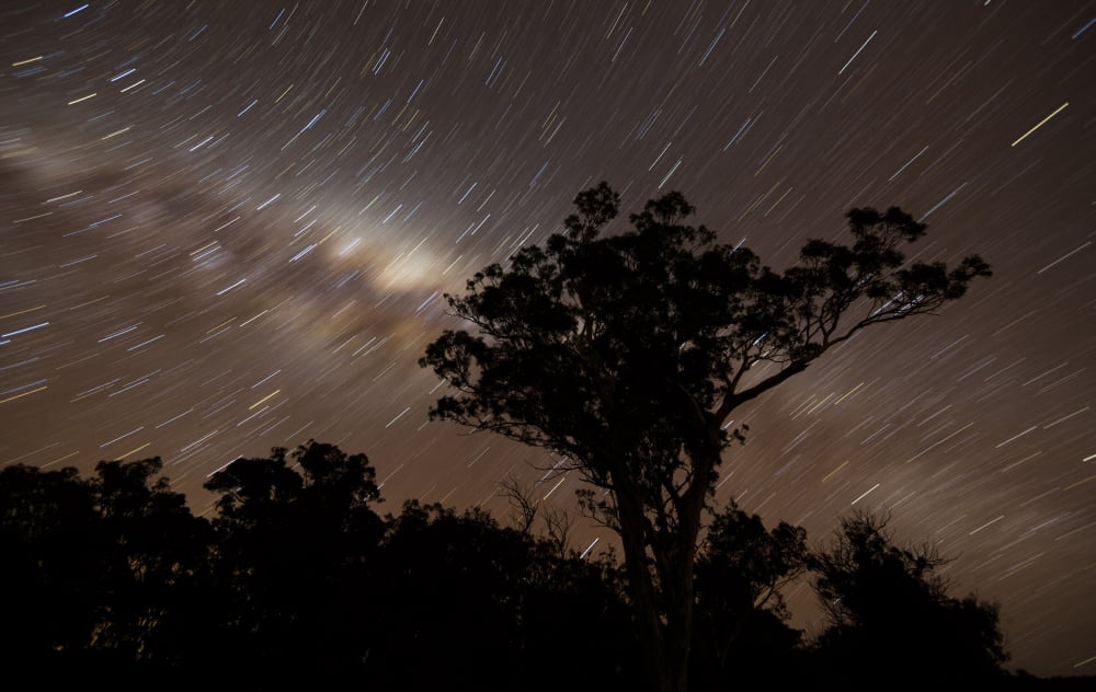 Star trails and the Milky Way Glenmaggie Victoria Australia Canvas Art - Philip HartStocktrek Images (35 x 22)