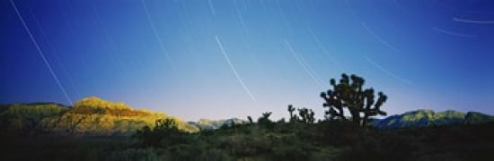Star trails over Red Rock Canyon National Conservation Area Nevada USA Canvas Art - Panoramic Images (36 x 12)