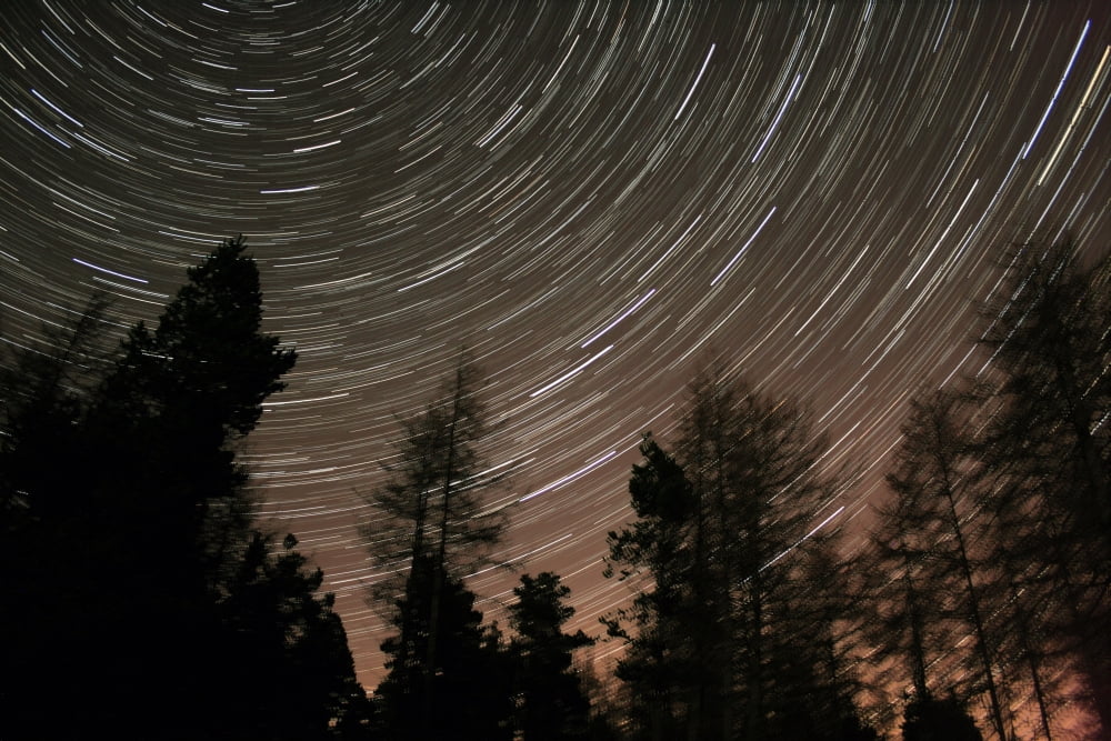 Star trails over the trees in Aberdeen Scotland Canvas Art - Philip HartStocktrek Images (18 x 12)