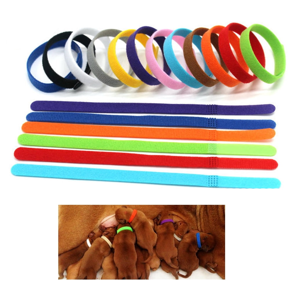 Honbay Welpen Halsbänder – 12 Farben, Klettverschluss, 35,6 Cm, Weich & Wiederverwendbar