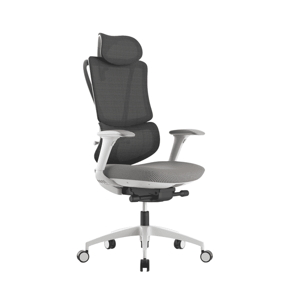 StarLiner Mesh Back Multifunction Office Chair for Home and Office, Gray/Light Gray