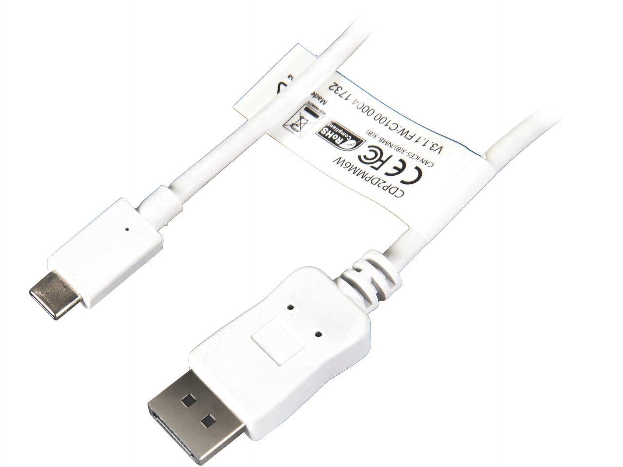 StarTech.com CDP2DPMM6W 6ft USB C to DisplayPort Cable - White - 4K 60Hz DisplayPort Cable - USB Type C to DisplayPort Adapter (CDP2DPMM6W) - image 1 of 3