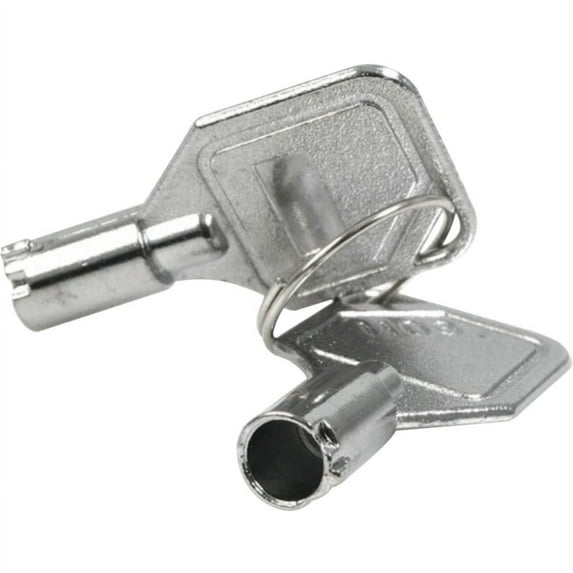 StarTech.com - System security key (pack of 2) - for P/N: DRW115SATBK, DRW115SAT, DRW113SATBK, DRW113SAT, DRW110SATBK, DRW110SAT, DRW115ATABK, DRW113ATABK