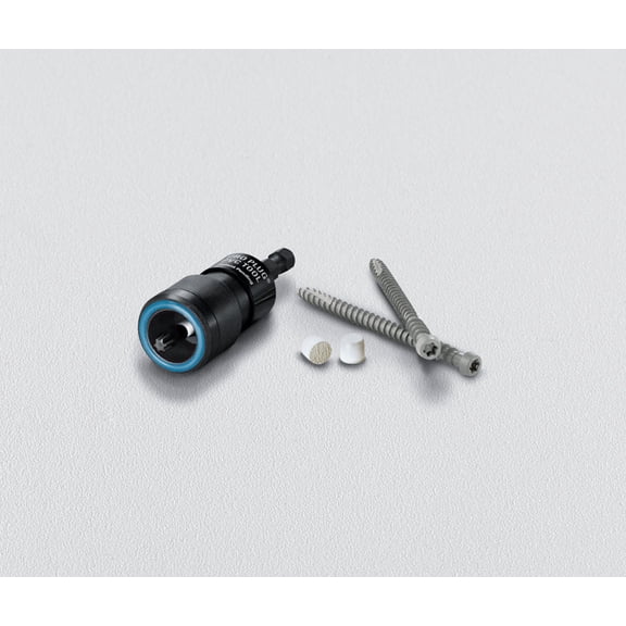 Starborn 5001415 Pro Plug No. 10 x 2.75 in. Star Trim Head Epoxy Coated Carbon Steel Deck Screws & Plugs Kit