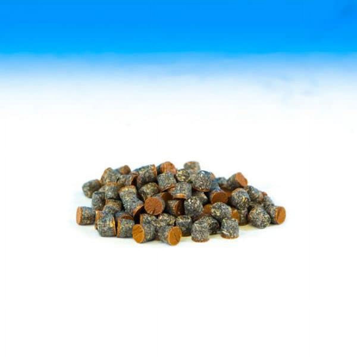 Starborn Pro Plug System Plugs For Composite Decking Trex Lineage