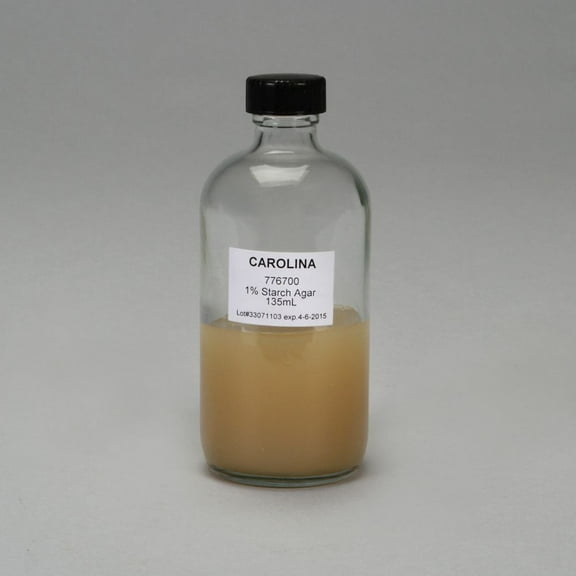Starch Agar, 1%, Prepared Media Bottle, 125 Ml