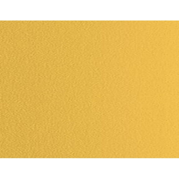 Stardream Metallics Gold 105# Cover 8.5"x11"-100 sheets Limited PapersTM Brand