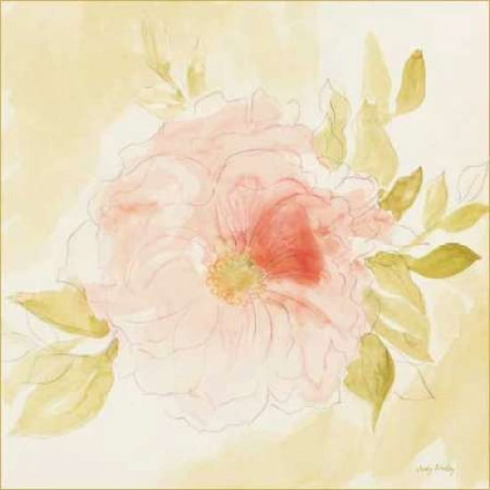 Stardust Peony Canvas Art - Judy Shelby (24 x 24)