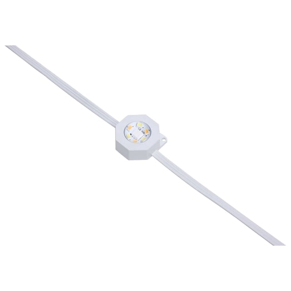Starfish; 100 Foot LED Eave String Light; 48 Watt; RGBTW; 120 Volt; Remote Included