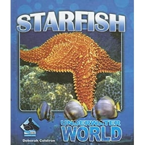 Pre-Owned Starfish (Unknown) 1599288133 9781599288130