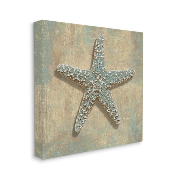 Starfish Beach Objects Design Coastal Gallery-Wrapped Canvas Print Wall Art, 17x17