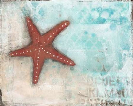 Starfish Canvas Art - Cassandra Cushman (20 x 24)