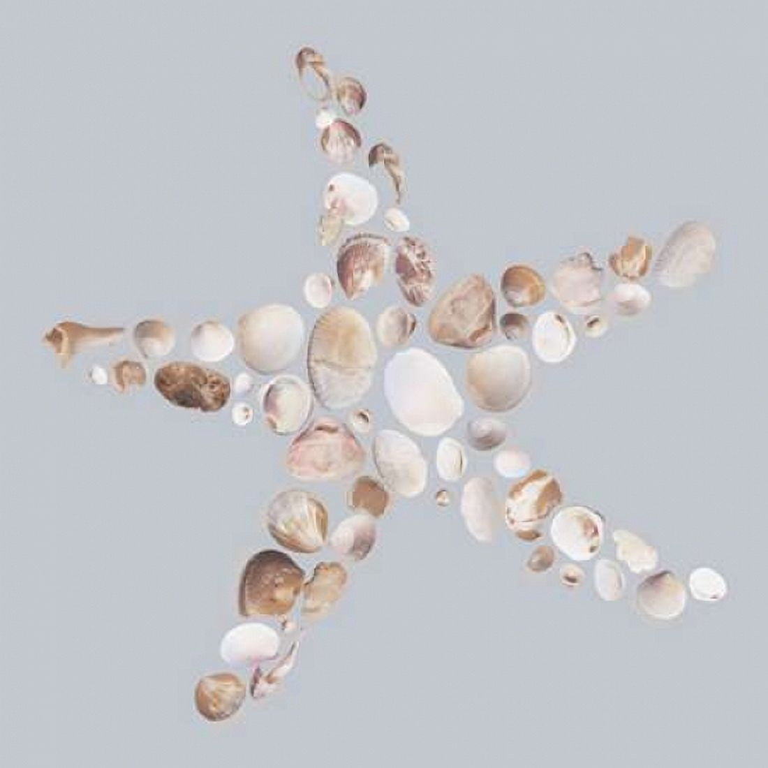 Starfish Canvas Art - Justin Lloyd (24 x 24)