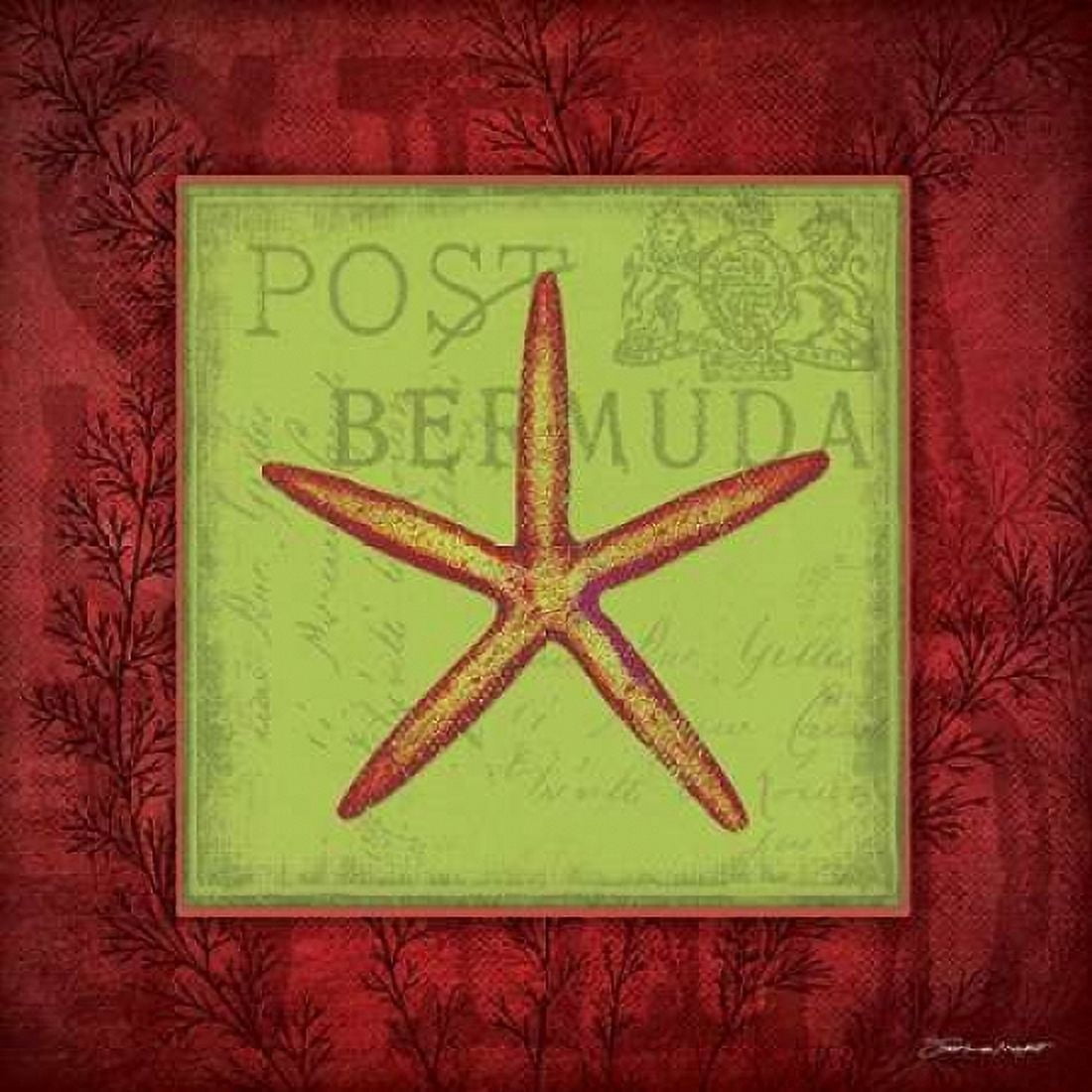 Starfish Canvas Art - Stephanie Marrott (24 x 24)