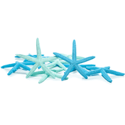 Starfish Decor 10 Pack Green & Blue Dyed White Finger Starfish Starfish 4" to 6" Green and Blue Starfish for Crafts Starfish Wall D cor